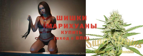 мдпв Тында