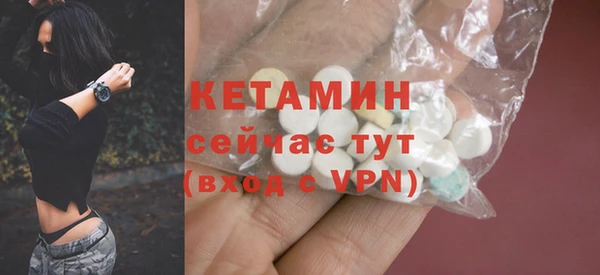 гашик Гусев