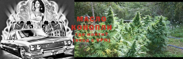 мдпв Тында