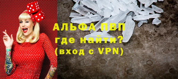 стаф Гусь-Хрустальный