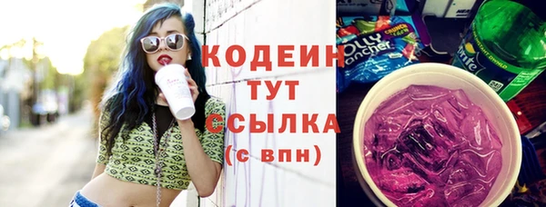 гашик Гусев