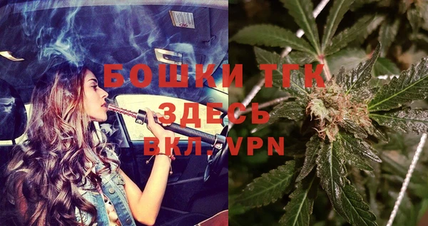 гашик Гусев