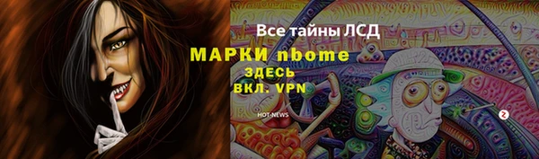 гашик Гусев