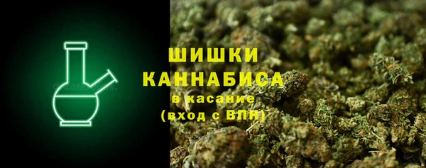 гашик Гусев