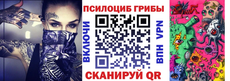 блэк спрут сайт  Новая Ладога  Галлюциногенные грибы Psilocybine cubensis 