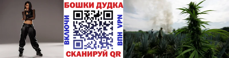Бошки Шишки ГИДРОПОН  Новая Ладога 